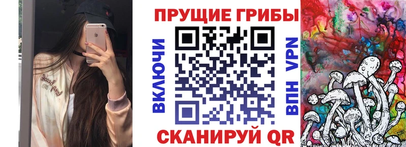Псилоцибиновые грибы GOLDEN TEACHER  Купить где  Балей 
